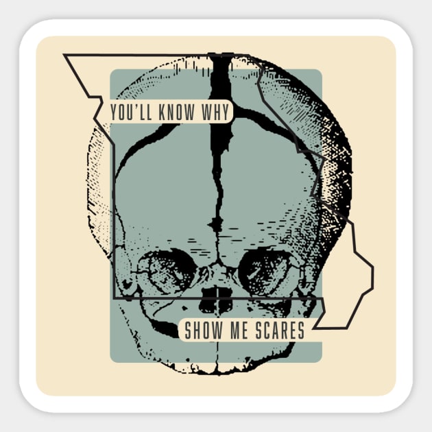 You'll Know Why Skull Sticker by Show Me Scares Podcast